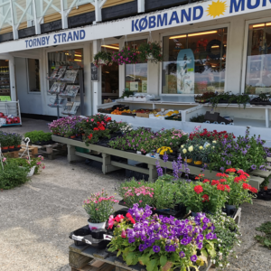Købmand Munch